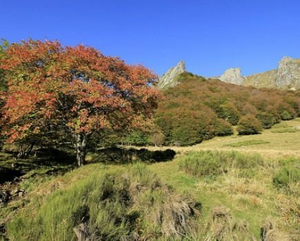Dans le massif de Sancy Mont Dore